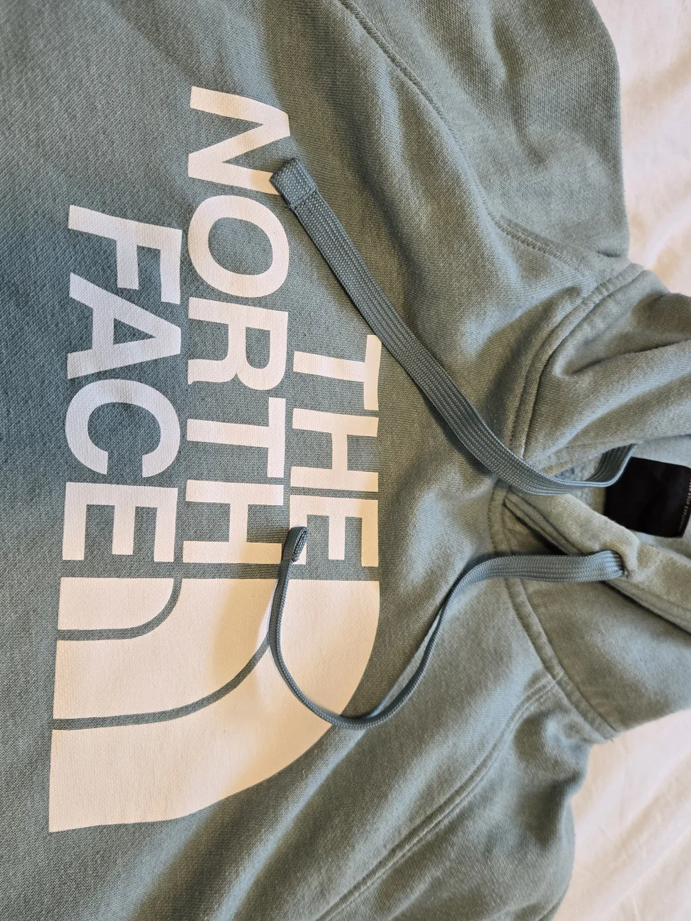 The North Face Men’s Sage Green Logo Hoodie0786